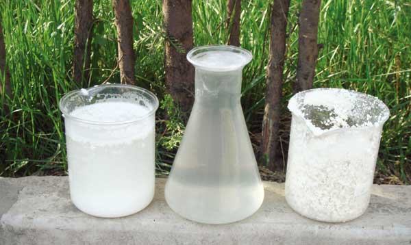 乳品行業（效果）